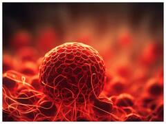 જો તમારું હિમોગ્લોબિન ઓછું હોય તો અપનાવો આ ત્રણ ઘરગથ્થુ ઉપચાર, તમને તરત જ મળશે રાહત