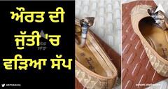 Viral Video: ਔਰਤ ਦੀ ਜੁੱਤੀ 'ਚ ਵੜਿਆ ਸੱਪ, ਨੇੜੇ ਆਉਂਦੇ ਹੀ ਕੀਤਾ ਹਮਲਾ, ਵੀਡੀਓ ਵਾਇਰਲ