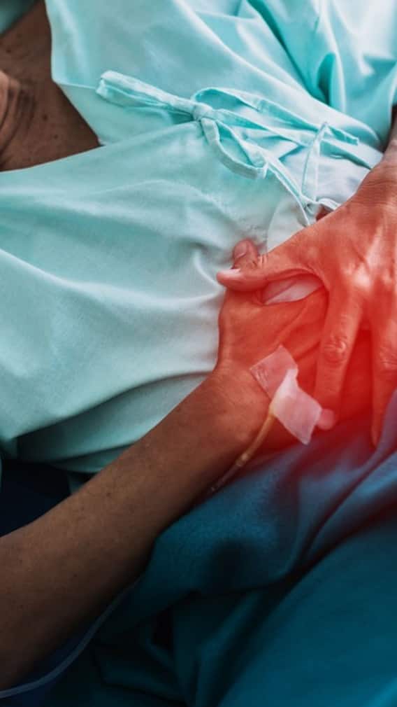 বদহজমের দাওয়াই এই ভেষজগুলি