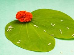 Dasara 2023: दसरा 23 की 24 ऑक्टोबरला? रावण दहन, शस्त्रपूजनाची शुभ वेळ जाणून घ्या