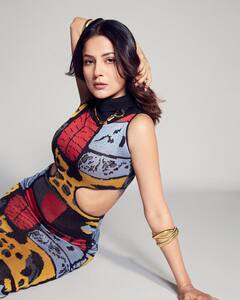 PHOTO: स्किन टाईट कपड्यांमध्ये शहनाज गिल दिसतेय हॉट; फोटो पाहाच!