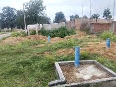 Chhattisgarh: जल जीवन मिशन योजना की बदहाल तस्वीर, नल कनेक्शन की पाइप से लोग बांध रहे मवेशी