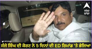 Sanjay Singh Remand: AAP ਸੰਸਦ ਮੈਂਬਰ ਸੰਜੇ ਸਿੰਘ ਦੀ ਕੋਰਟ ਨੇ 5 ਦਿਨਾਂ ਦੀ ਈਡੀ ਰਿਮਾਂਡ 'ਤੇ ਭੇਜਿਆ, ਸੁਣਾਈ 'ਚ ਕਿਸ ਨੇ ਕੀ ਦਿੱਤੀ ਦਲੀਲ?