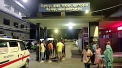 চা বাগানে চিতাবাঘের হামলা, আলিপুরদুয়ারে গুরুতর জখম ১১ বছরের বালক
