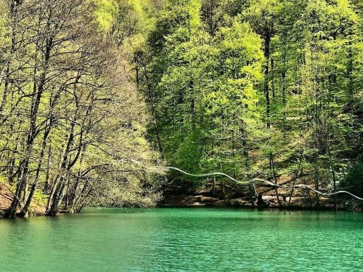 चार राज्यों की सीमा को छूता है भारत का ये इकलौता जिला, नेहरू जी ने इसे स्विटजरलैंड ऑफ इंडिया कहा था sonbhadra is only district of india which touch 4 states know its speciality चार राज्यों की सीमा को छूता है भारत का ये इकलौता जिला, नेहरू जी ने इसे स्विटजरलैंड ऑफ इंडिया कहा था