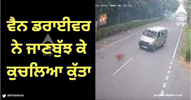 viral video van driver deliberately crushed dog on road in greater noida Viral Video: ਵੈਨ ਡਰਾਈਵਰ ਨੇ ਸੜਕ ਪਾਰ ਕਰ ਰਹੇ ਕੁੱਤੇ ਨੂੰ ਜਾਣਬੁੱਝ ਕੇ ਕੁਚਲਿਆ, ਇੰਟਰਨੈੱਟ 'ਤੇ ਭੜਕਿਆ ਲੋਕਾਂ ਦਾ ਗੁੱਸਾ, ਦੇਖੋ ਵੀਡੀਓ