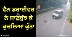 Viral Video: ਵੈਨ ਡਰਾਈਵਰ ਨੇ ਸੜਕ ਪਾਰ ਕਰ ਰਹੇ ਕੁੱਤੇ ਨੂੰ ਜਾਣਬੁੱਝ ਕੇ ਕੁਚਲਿਆ, ਇੰਟਰਨੈੱਟ 'ਤੇ ਭੜਕਿਆ ਲੋਕਾਂ ਦਾ ਗੁੱਸਾ, ਦੇਖੋ ਵੀਡੀਓ