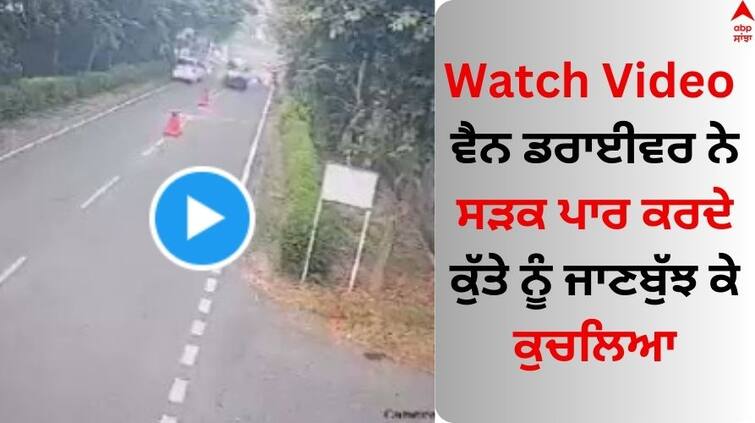 van-driver-deliberately-crashed-dog-on-road watch horrific incident Viral Video: ਵੈਨ ਡਰਾਈਵਰ ਨੇ ਸੜਕ ਪਾਰ ਕਰਦੇ ਕੁੱਤੇ ਨੂੰ ਜਾਣਬੁੱਝ ਕੇ ਕੁਚਲਿਆ, ਇੰਟਰਨੈੱਟ 'ਤੇ ਭੜਕਿਆ ਲੋਕਾਂ ਦਾ ਗੁੱਸਾ, ਦੇਖੋ ਵੀਡੀਓ