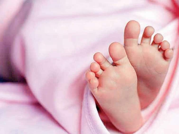 Newborn Declared Dead By Doctors in Assam, Alive Before Cremation చనిపోయినట్టు డిక్లేర్ చేసిన వైద్యులు, పూడ్చి పెట్టే ముందు గుక్కపట్టి ఏడ్చిన పసికందు