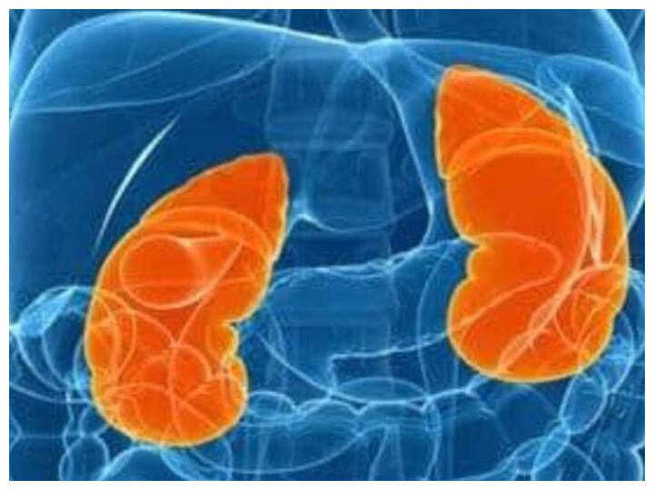 Why kidney patients should not take high protein किडनी मरीजों को डाइट में हाई प्रोटीन क्यों नहीं लेना चाहिए? जानें क्या है कारण