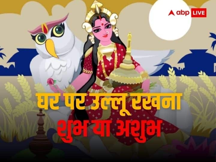 Vastu Tips can we keep owl statue at home and office know vastu shastra about Lakshmi ji vahan ullu Vastu Tips: लक्ष्मी जी का वाहन 'उल्लू' घर या ऑफिस में रख सकते हैं या नहीं, जानें