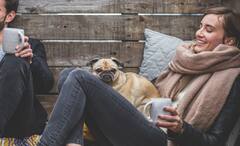 Zodiac Signs: মানুষ দেখে বরং নাক সিঁটকোন, পোষ্যের সঙ্গেই ভাল জমে এই রাশির জাতকদের