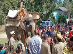 IFS Officer Shares Emotional Video Of 66-Year-Old Elephant Getting Farewell At Corbett Tiger Reserve. WATCH
