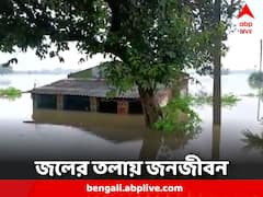 WB Flood Situation: পুজোর আগে দুর্যোগ বাংলায়, জলের তলায় একের পর এক গ্রাম, বিপর্যস্ত দিনযাপন