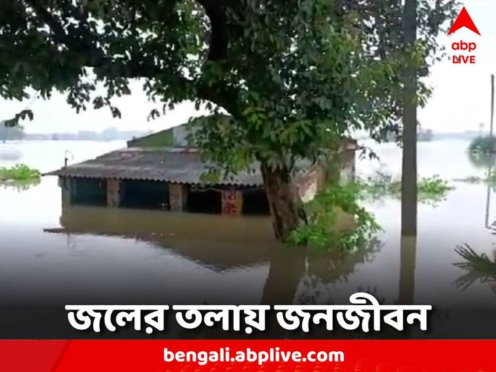 West Bengal News: নিম্নচাপের প্রত্যাবর্তনে পুজোর আগে দুর্যোগ বাংলায়। ডিভিসি-র জলে প্লাবিত হাওড়া-হুগলির বিস্তীর্ণ এলাকা।