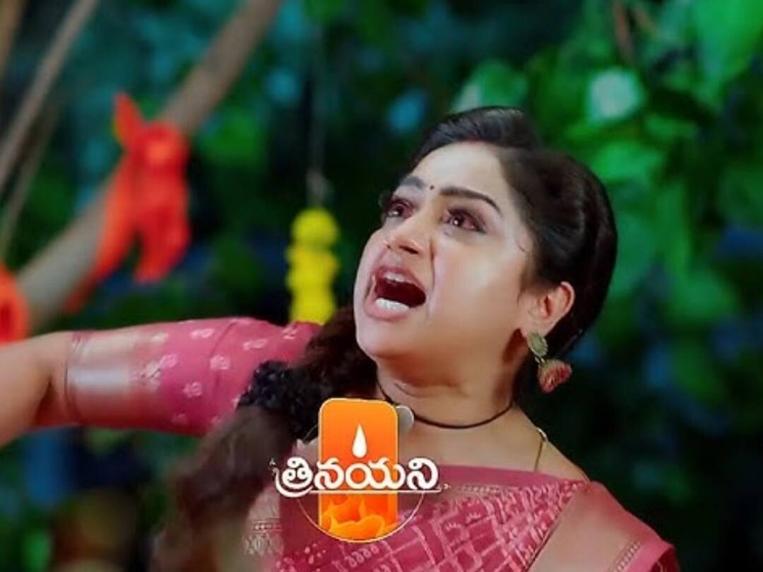 Trinayani October 5th: Black Snake bites to nayani in trinayani serial October 5th episode Trinayani October 5th: ఉలూచిని కనిపెట్టిన నయని - విశాల్ ని కాటేసిన నల్ల నాగు!