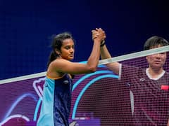 PV Sindhu Crashes Out In Quaterfinals, No Medal For India In Women's Singles Badminton. In Pics
