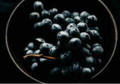 Benefits Of Grapes: काळी द्राक्ष खाण्याचे फायदे माहीत आहेत का? पाहा असंख्य फायदे