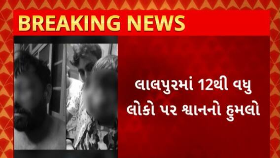 Jamnagar News : જામનગરના લાલપુરમાં હડકાયા શ્વાનનો આતંક, 12થી વધુ લોકો પર સ્વને કર્યો હુમલો