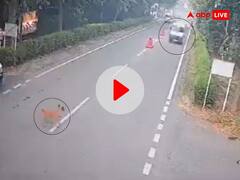 सड़क पार कर रहे कुत्ते को वैन ड्राइवर ने जानबूझकर कुचला, इंटरनेट पर फूटा लोगों का गुस्सा, देखें VIDEO