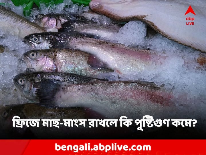 Healthy Diet Fish and Meat: অনেকেই বিশ্বাস করেন, ফ্রিজে সংরক্ষিত মাছের তুলনায় জ্যান্ত বা টাটকা মাছ-মাংস খাওয়া শরীরের জন্য অত্যন্ত উপকারী