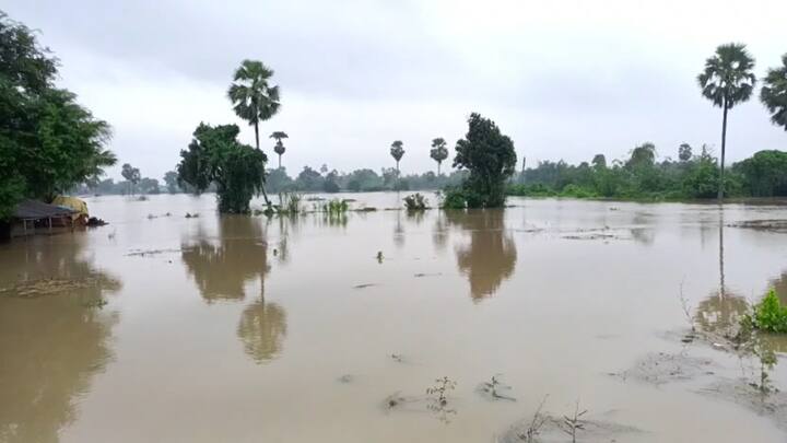 পুজোর মুখে হঠাৎ বন্যায় সর্বস্বান্ত হাওড়ার উদয়নারায়ণপুরের কৃষকরা। DVC-র ছাড়া জলে দামোদরের বাঁধ উপছে মঙ্গলবার রাত থেকে করে জল ঢুকতে শুরু করে একের পর এক গ্রামে। প্লাবিত হয় কমপক্ষে ১৫টি গ্রাম।