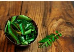Curry Leaves Water : कढीपत्ता पाणी पिणे फायदेशीर की हानिकारक? पाहा