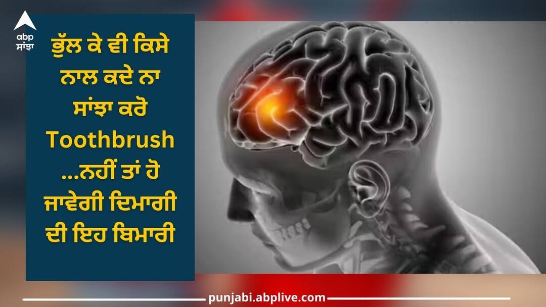 Brain illness: ਭੁੱਲ ਕੇ ਵੀ ਕਿਸੇ ਨਾਲ ਕਦੇ ਨਾ ਸਾਂਝਾ ਕਰੋ Toothbrush...ਨਹੀਂ ਤਾਂ ਹੋ ਜਾਵੇਗੀ ਦਿਮਾਗੀ ਦੀ ਇਹ ਬਿਮਾਰੀ, ਕੁੱਝ ਇਸ ਤਰ੍ਹਾਂ ਦੇ ਹੁੰਦੇ ਲੱਛਣ Health News: Never share a toothbrush with anyone how do you know if you have meningitis details inside Brain illness: ਭੁੱਲ ਕੇ ਵੀ ਕਿਸੇ ਨਾਲ ਕਦੇ ਨਾ ਸਾਂਝਾ ਕਰੋ Toothbrush...ਨਹੀਂ ਤਾਂ ਹੋ ਜਾਵੇਗੀ ਦਿਮਾਗੀ ਦੀ ਇਹ ਬਿਮਾਰੀ, ਕੁੱਝ ਇਸ ਤਰ੍ਹਾਂ ਦੇ ਹੁੰਦੇ ਲੱਛਣ