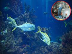 भारत चंद्रयान के बाद समुद्रयान की तैयारी क्यों कर रहा? जानिए क्या है ये मिशन