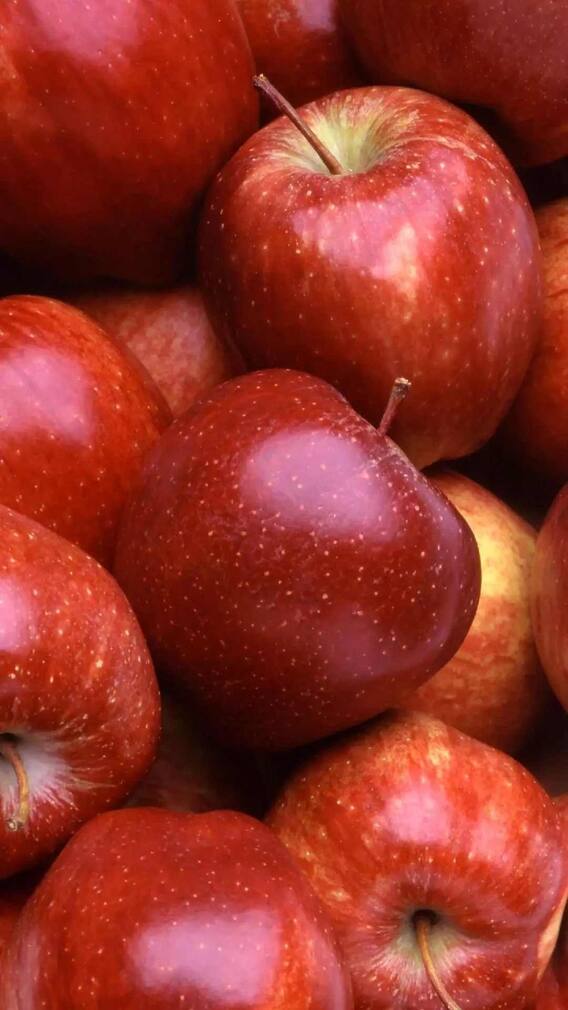 रिकाम्या पोटी सफरचंद खाण्याचे 'हे' फायदे