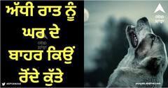 Viral News: ਅੱਧੀ ਰਾਤ ਨੂੰ ਘਰ ਦੇ ਬਾਹਰ ਕਿਉਂ ਰੋਂਦੇ ਕੁੱਤੇ? ਕੀ ਹੋ ਜਾਂਦਾ ਕਿਸੇ ਦੀ ਮੌਤ ਦਾ ਅਹਿਸਾਸ ਜਾਂ..., ਜਾਣੋ ਕਾਰਨ