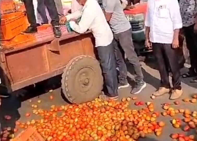 nashik latest News Tomato Rs 10 per kg in Nashik district, protest by farmers for tomato rate down maharashtra news Nashik News : शेतकऱ्यांच्या स्वप्नांचा 'लाल चिखल'; टोमॅटो रस्त्यांवर फेकून देण्याची वेळ, नाशिकमधील शेतकरी आक्रमक 