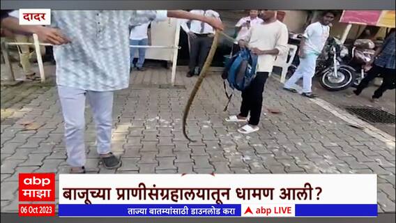 Dadar : स्वातंत्र्यवीर सावरकर राष्ट्रीय स्मारकात धामण !