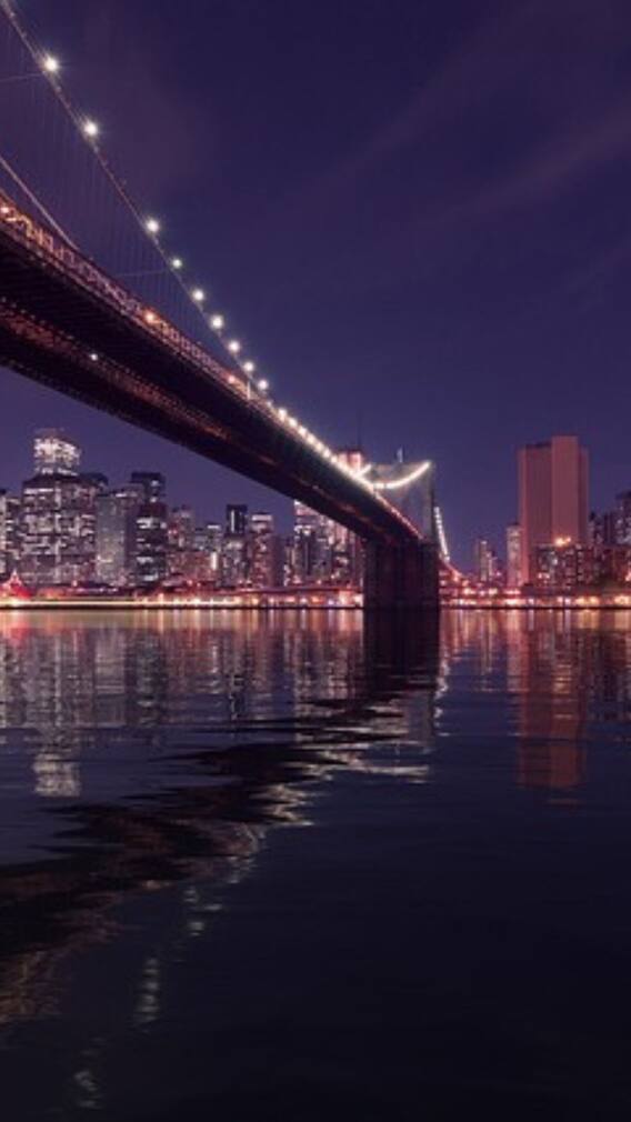 পৃথিবীর বিখ্যাত ৫ সেতু