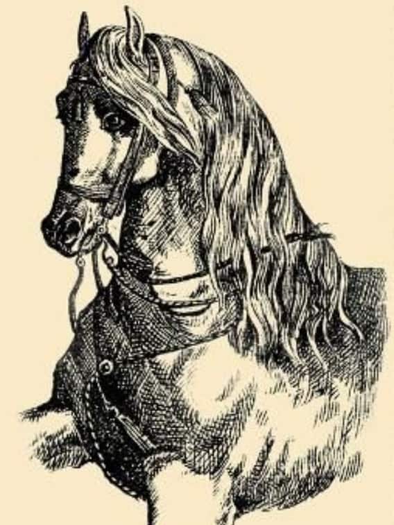 इस फोटो में छिपा है घोड़े का मालिक, 9 सेकेंड में खोज के बताइए