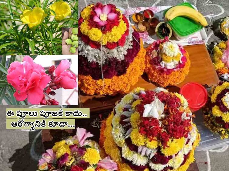Bathukamma 2023: ayurvedic secrets and amazing health benefits of Ganneru Flowers Bathukamma 2023: బతుకమ్మలో వినియోగించే ఈ పువ్వు విషపూరితమే కానీ ఉపయోగాలున్నాయి!