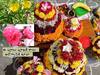 Bathukamma 2023: బతుకమ్మలో వినియోగించే ఈ పువ్వు విషపూరితమే కానీ ఉపయోగాలున్నాయి!