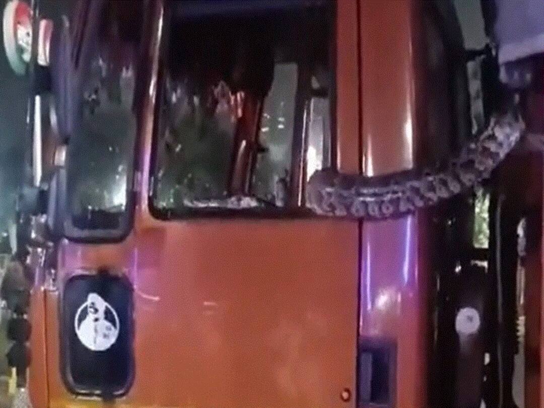 UP Police Rescues Python From Truck In Greater Noida Watch Viral Video UP Police Rescues A 8-Foot Python From Truck In Greater Noida. WATCH