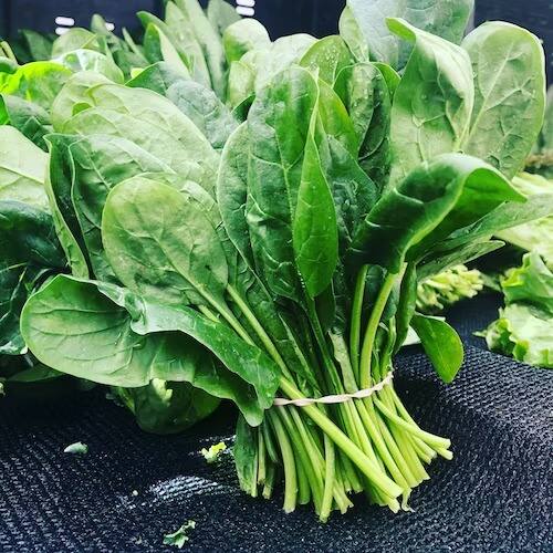 पालकामध्ये आढळतात, जे शरीर सुधारण्याचे काम करतात. त्यात लोह, कॅल्शियम, मॅग्नेशियम आणि पोटॅशियम सारख्या पोषक तत्वांचा समावेश आहे.