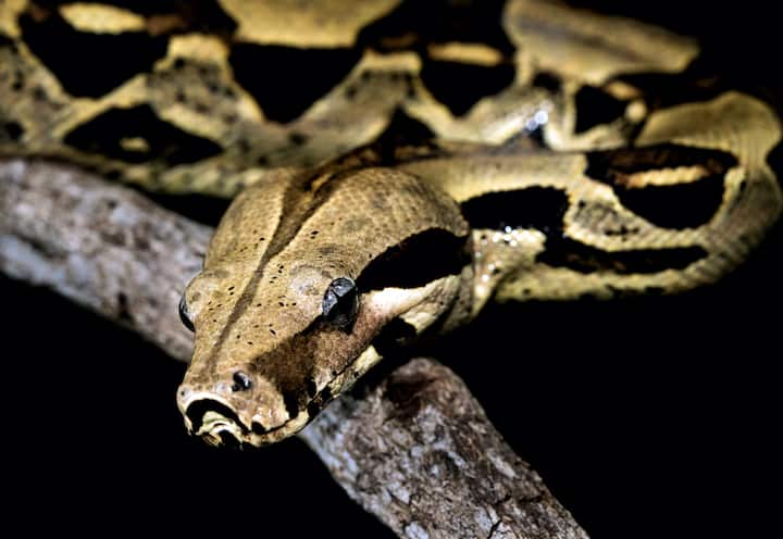 चावलेल्या भागातून कापड काढा. किंवा तुमच्याकडे अंगठी, अँकलेट, ब्रेसलेट असे काही दागिने असतील तर तेही काढून टाका. असे न केल्यास आणखी समस्या निर्माण होऊ शकतात.