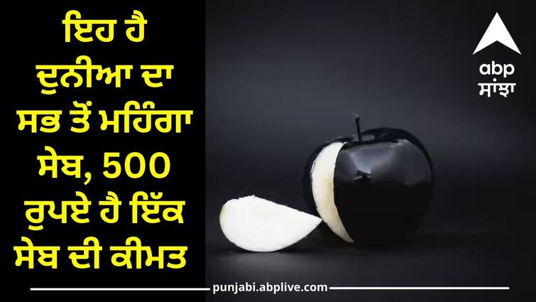 this is the most expensive apple in the world black diamond apple Black Apple: ਇਹ ਹੈ ਦੁਨੀਆ ਦਾ ਸਭ ਤੋਂ ਮਹਿੰਗਾ ਸੇਬ, 500 ਰੁਪਏ ਹੈ ਇੱਕ ਸੇਬ ਦੀ ਕੀਮਤ