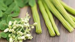 Health Tips: સરગવો સ્વાસ્થ્ય માટે છે અમૃત સમાન, આ અનેક બીમારીથી અપાવશે છુટકારો