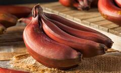 Red Banana Benefits: પીળા કેળાની તુલનામાં લાલ કેળા છે વધારે ફાયદાકારક, જાણો તેના ગજબના ફાયદા