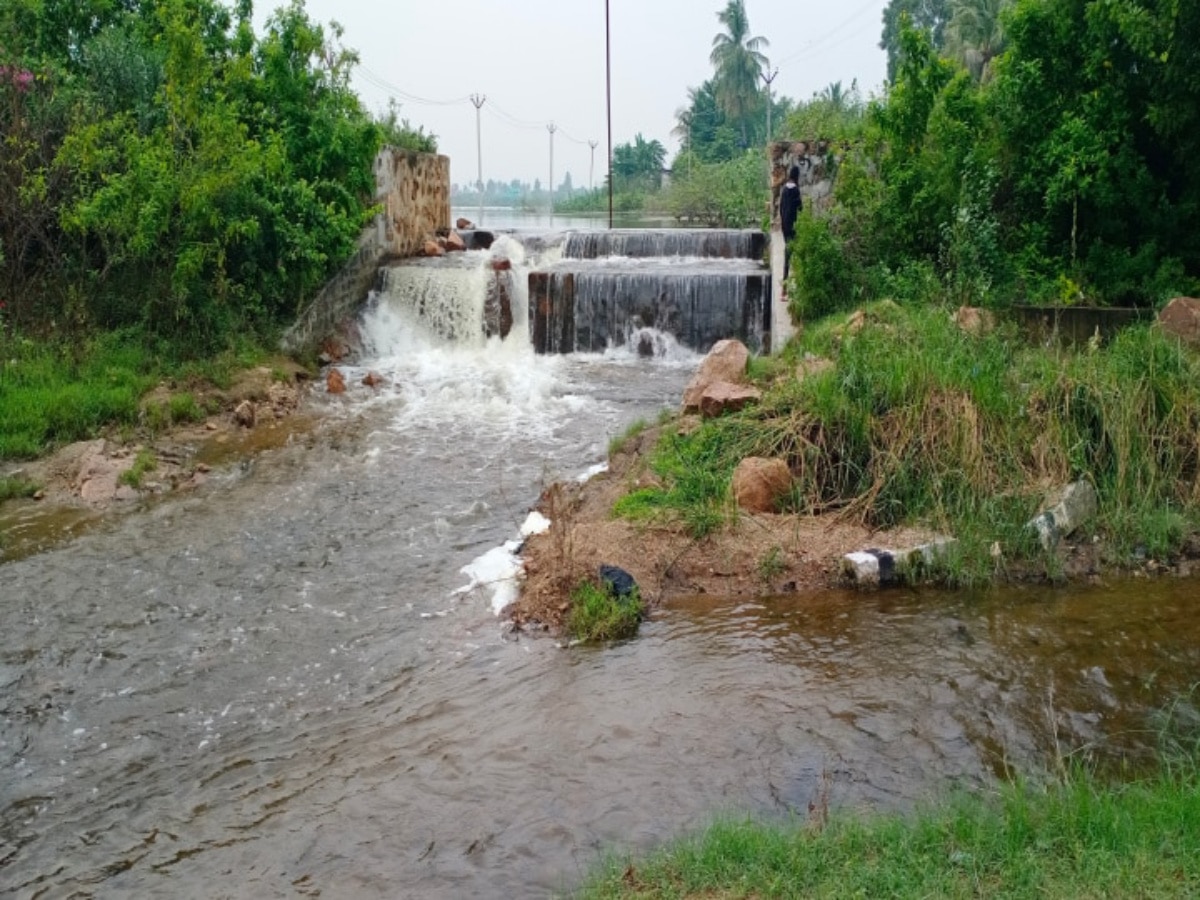 திருவண்ணாமலை மாவட்டத்தில் தொடர் மழை... முழு கொள்ளவை எட்டிய 70 ஏரிகள்