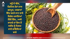 Mustard Seeds Benefits:ਪਕਵਾਨਾਂ ਨੂੰ ਸਵਾਦਿਸ਼ਟ ਬਣਾਉਣ ਤੋਂ ਇਲਾਵਾ ਸਰ੍ਹੋਂ ਦੇ ਬੀਜ ਚਮੜੀ ਲਈ ਵੀ ਫਾਇਦੇਮੰਦ, ਆਓ ਜਾਂਦੇ ਹਾਂ ਇਸ ਦੇ ਹੋਰ ਲਾਭ