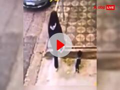 भयंकर हादसे का शिकार होने वाली थी महिला, वफादार कुत्ते ने यूं बचाई अपनी मालकिन की जान, देखें VIDEO