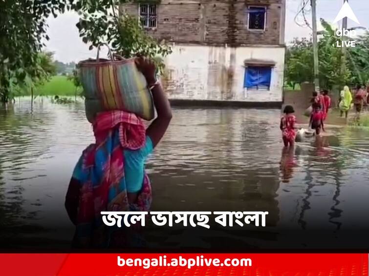 West Bengal Flood Situation Scare under water essentials lost scare price soar up Flood Scare : জলে ভাসছে বাংলার বিস্তীর্ণ এলাকার কৃষিজমি, মাঠেই নষ্ট হচ্ছে ফসল, পুজোর মুখে আনাজের মূল্যবৃদ্ধির আশঙ্কা