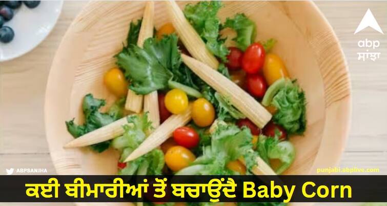 Baby Corn Benefits read more details Baby Corn Benefits : ਕਈ ਬੀਮਾਰੀਆਂ ਤੋਂ ਬਚਾਉਂਦੈ Baby Corn, ਜਾਣੋ ਇਸ ਨੂੰ ਕਿਵੇਂ ਸ਼ਾਮਲ ਕਰਨੇ ਆਪਣੀ ਡਾਈਟ 'ਚ