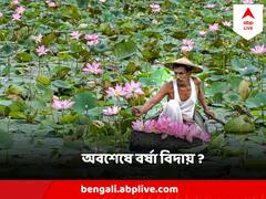 West Bengal Weather : আকাশে সাদা মেঘ ভাসিয়ে পুজোর আমেজ বঙ্গে, জানা গেল পাকাপাকিভাবে বর্ষা বিদায়ের দিনক্ষণ?