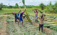 West Bengal Weather : আকাশে সাদা মেঘ ভাসিয়ে পুজোর আমেজ বঙ্গে, জানা গেল পাকাপাকিভাবে বর্ষা বিদায়ের দিনক্ষণ?